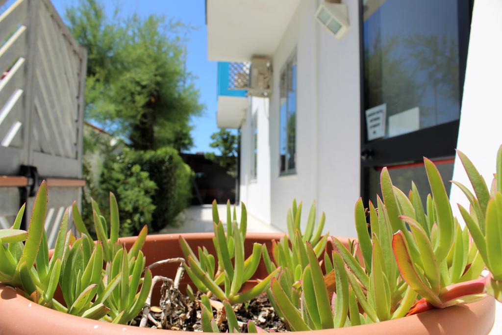 Hotel Eco Del Mare Marina di Massa Dış mekan fotoğraf